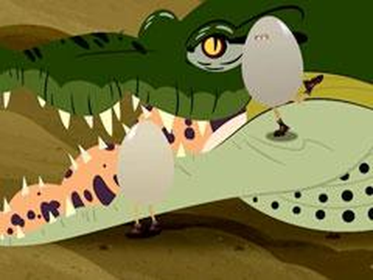 Ecosystems | Wild Kratts | Classroom Resources | PBS LearningMedia